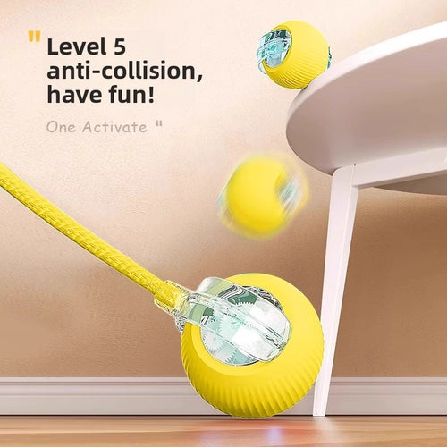 An electric and intelligent dog-teasing device for pets