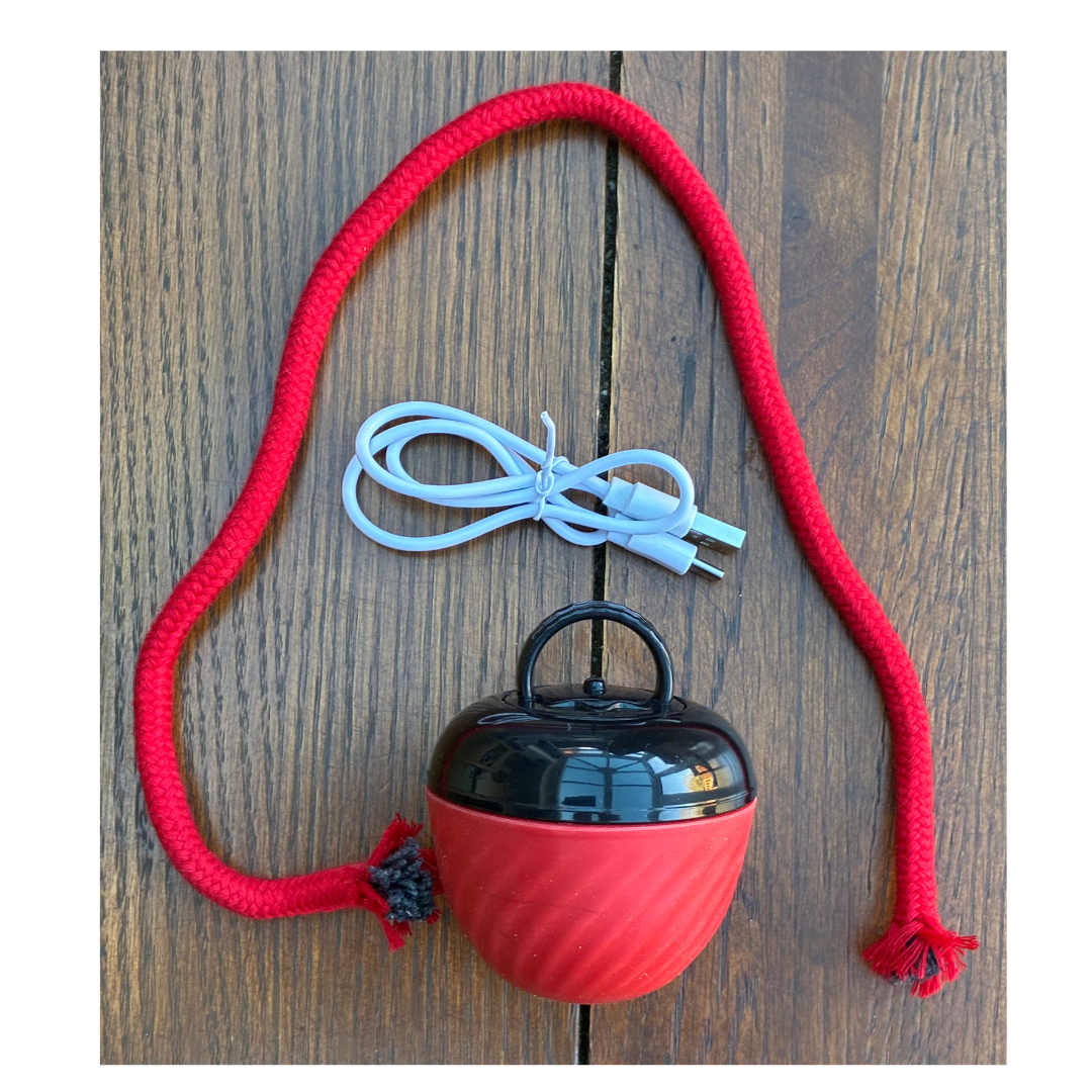 Automatic rolling dog ball with rope tail and USB charging cable