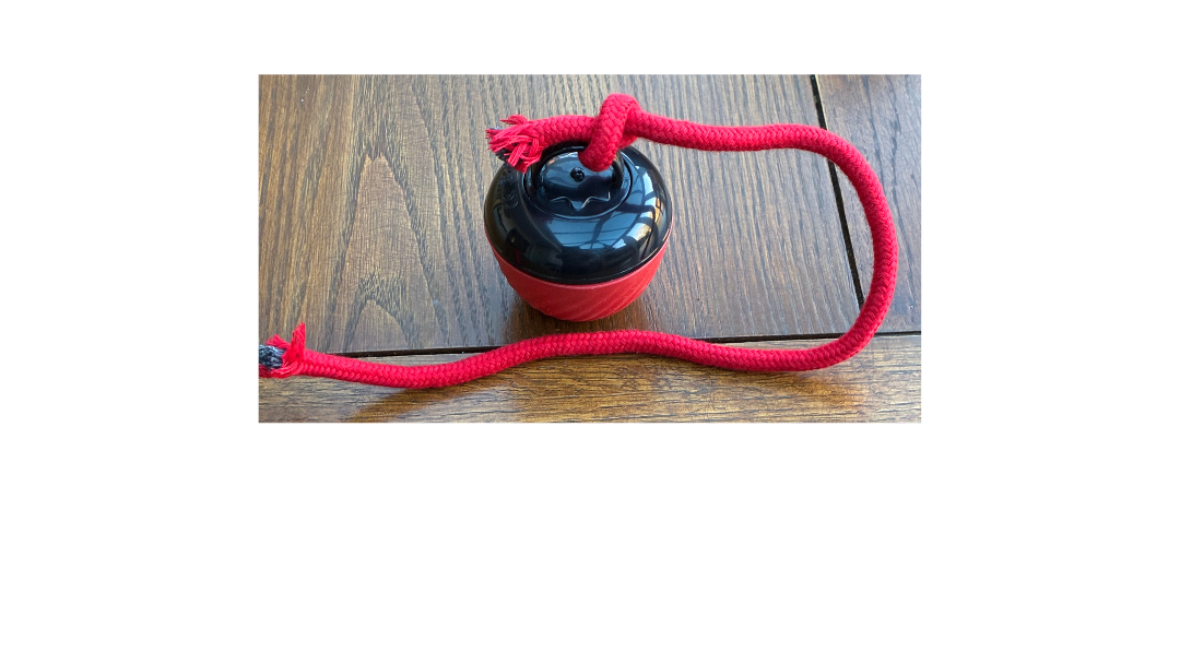 Interactive smart dog ball toy with rope handle