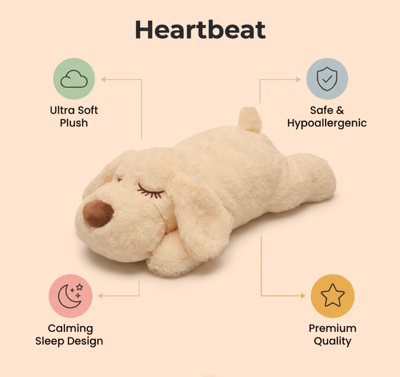 Trendy Pet solutions