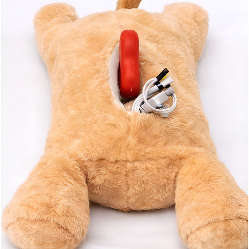 Plush teddy bear with a red toy inside on a white background